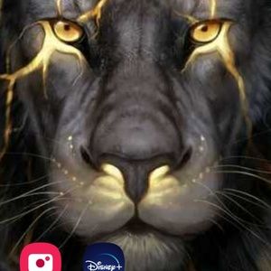 Meet your Posher, Andre